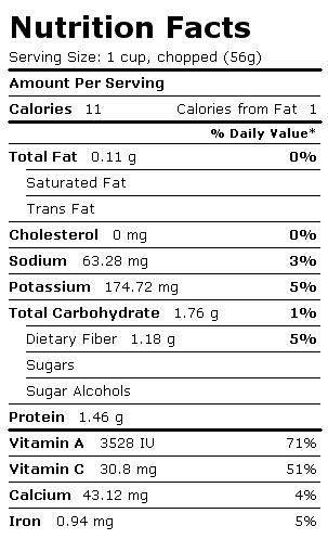 Swamp cabbage, (skunk cabbage), raw - calories, carbs, nutrition