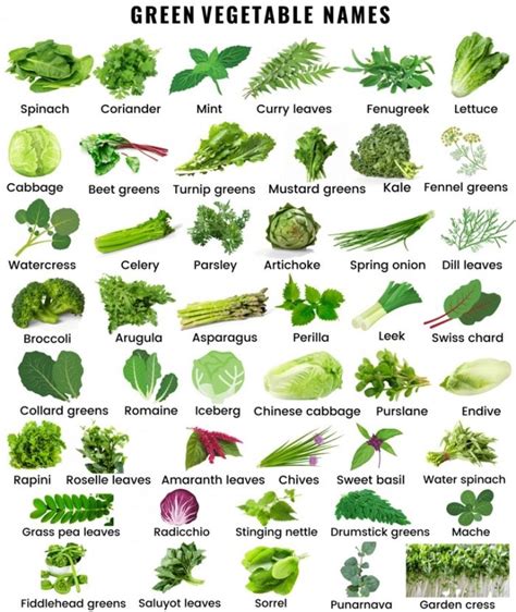 Thai Green Red Vegetables (74492.2) - calories, carbs, nutrition