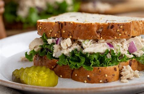 Tuna on Multiseed Bread with Roast Paprika Creme Fraiche, Cos and Onion Garnis - calories, carbs, nutrition