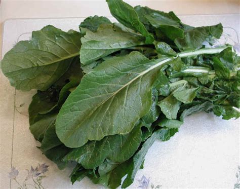 Turnip Greens, Vegetarian - calories, carbs, nutrition