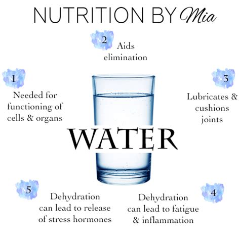 Water - calories, carbs, nutrition