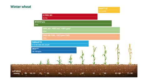 Winter Wheat - calories, carbs, nutrition