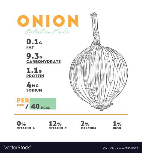 Yellow Onions, Fresh - calories, carbs, nutrition