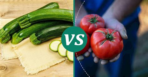 Zucchini and Tomatoes - calories, carbs, nutrition